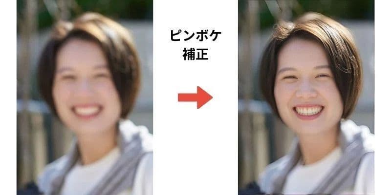 お顔部分をアップ